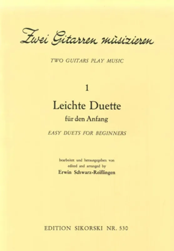 2 Gitarren musizieren Gitarre Duett