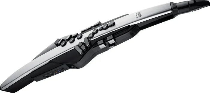 AE-30 Aerophone Pro