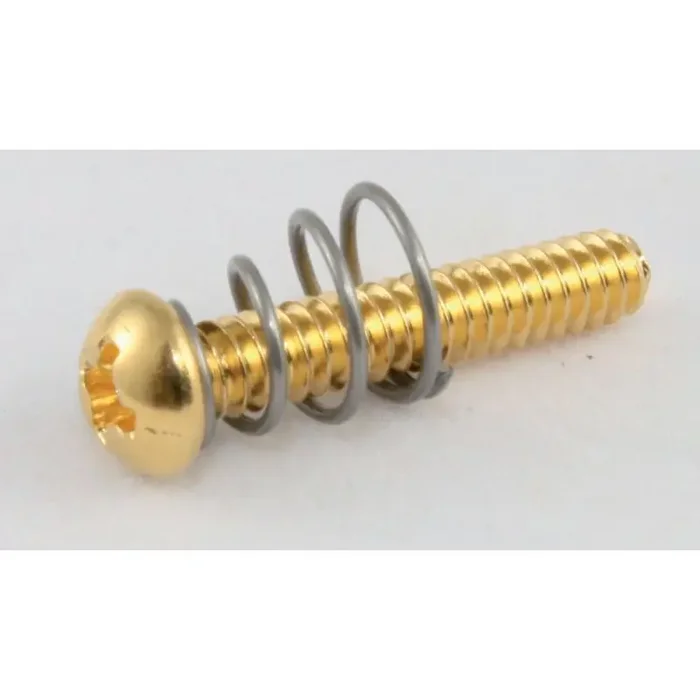 Allparts GS 0007-002 PU Screws/Springs gold