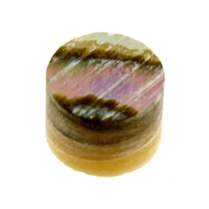 Allparts small abalone side dot inlays, 12 pcs.