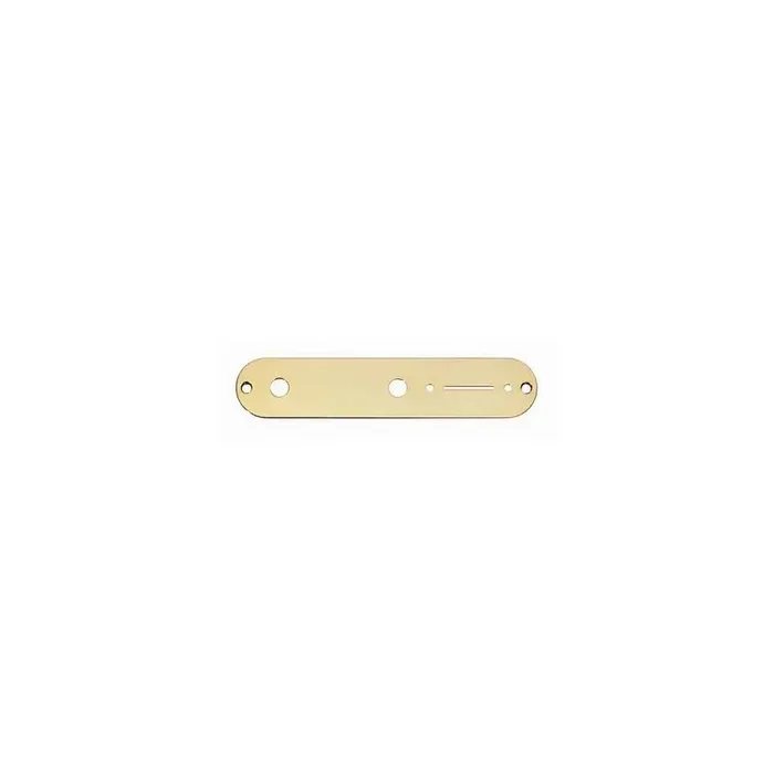 AP-0650-002 Gold Control Plate