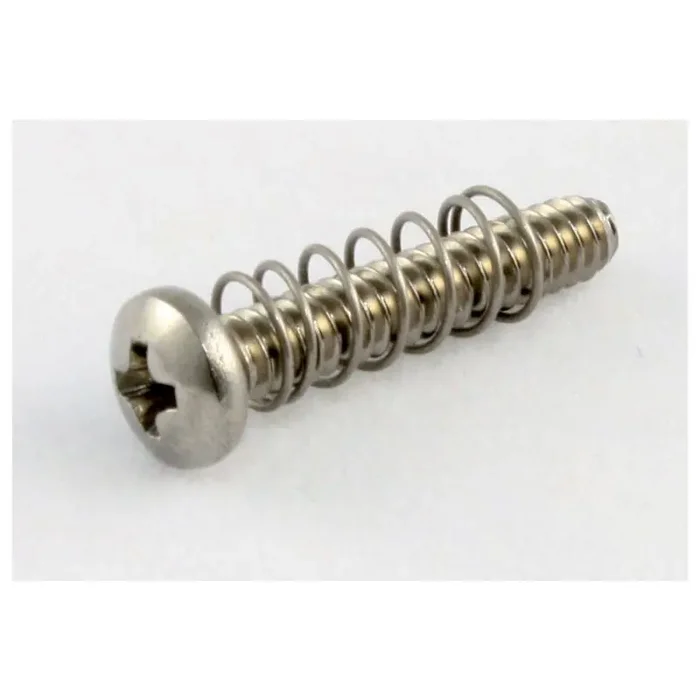 AP GS 0004-005 Intonatie Schroeven Strat, US