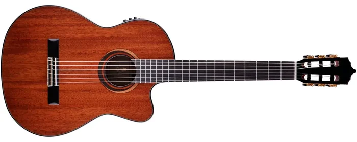 Artesano Nuevo LTD 2022 E-Akustik Konzertgitarre