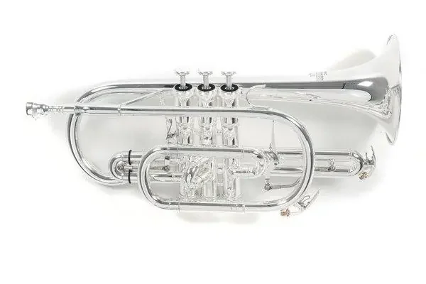 Bb-Kornett CR-302S Silber