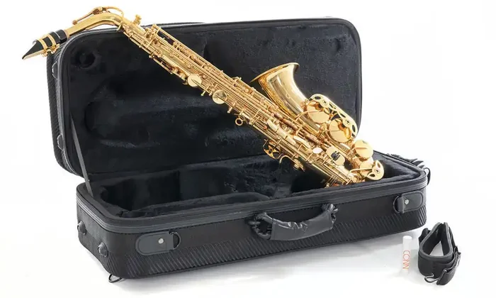 C.G.Conn AS501 Eb-Alt Saxophon