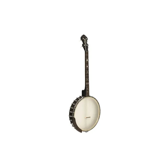 Gold Tone IT-19 Banjo