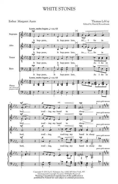 LaVoy, Thomas White Stones Book VI