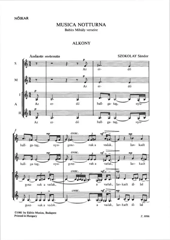 Musica notturna Frauenchor A cappella