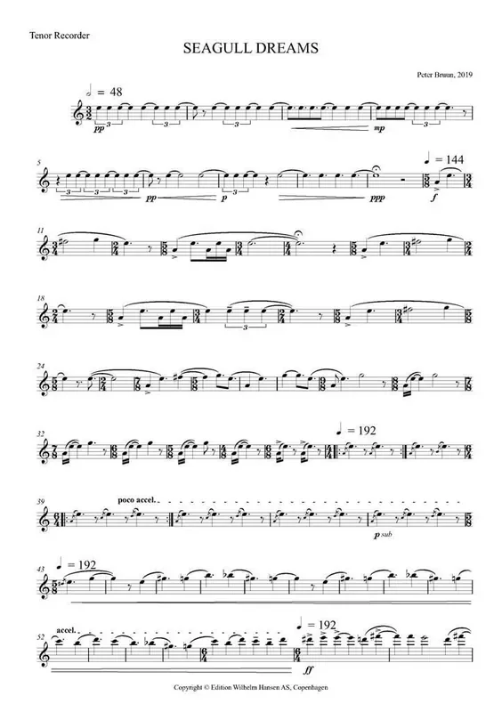 Peter Bruun Seagull Dreams Kammerensemble