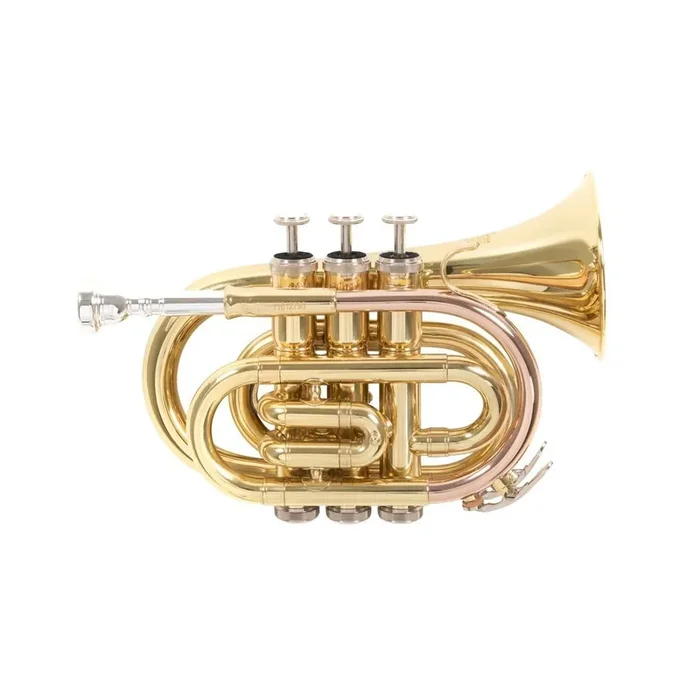 Roy Benson Bb-Taschentrompete PT-101