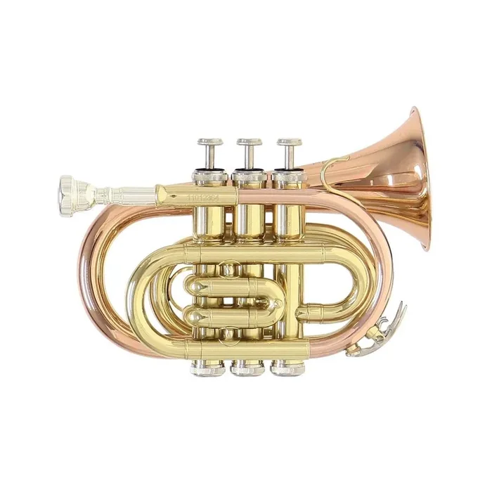 Roy Benson Bb-Taschentrompete PT-101G
