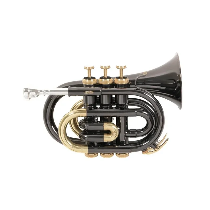 Roy Benson Bb-Taschentrompete PT-101K