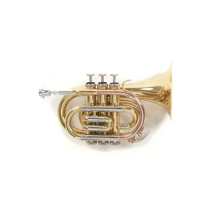 Roy Benson Bb-Taschentrompete PT-302