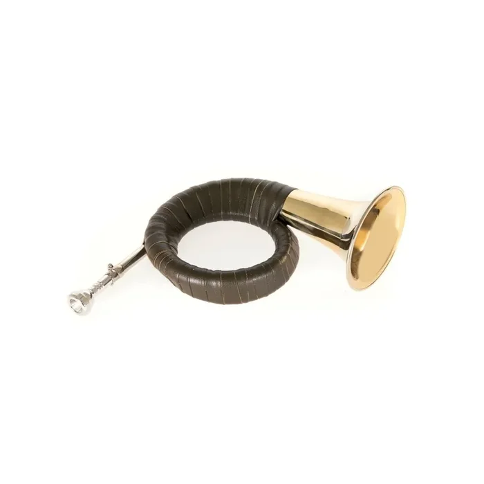 Roy Benson Fürst Pless-Horn HH-101