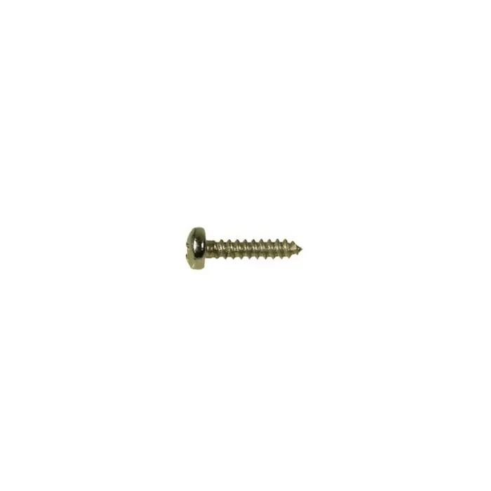 Screw, brass, 2,2×6,5mm, 12pcs, dome head, tapping, for trussrod cover and tuners short