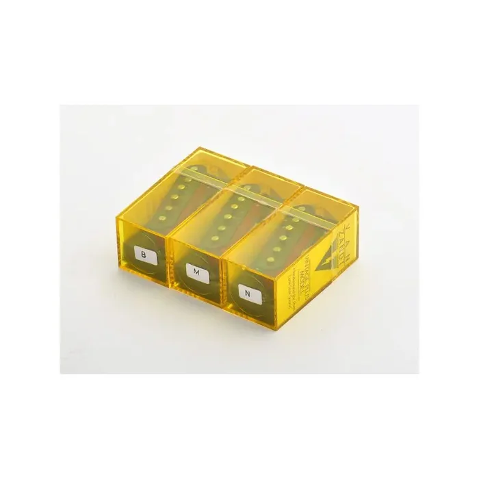 Van Zandt Strat Vintage Plus Set