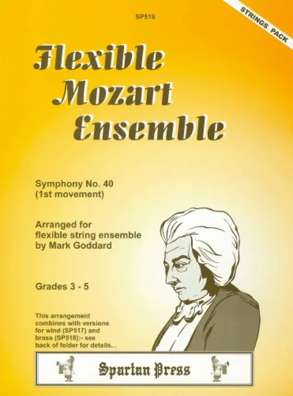 Wolfgang Amadeus Mozart Flexible Mozart Ensemble Streichensemble